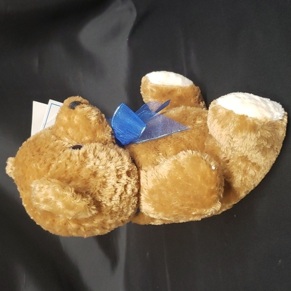 Carlyle & Co. NWT Zippered Tummy Teddy Bear - Picture 3 of 6